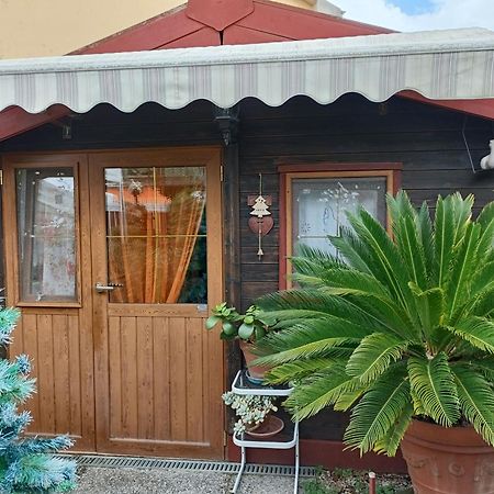 Nonna Lori'S Chalet Pisa Zona Stazione E Aeroporto Екстер'єр фото